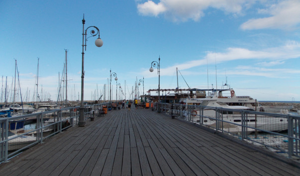 DSCN3429