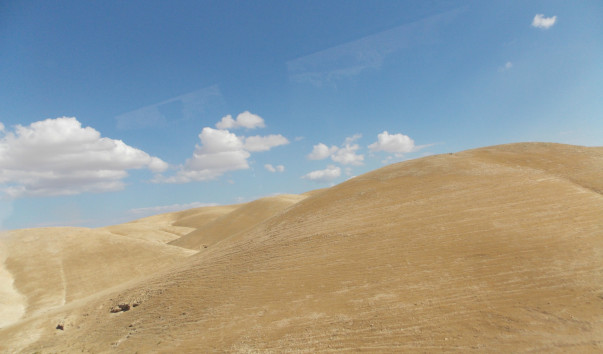 DSCN4046