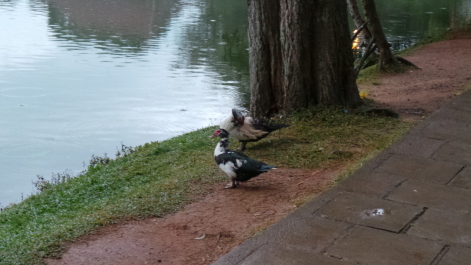 photo 575380