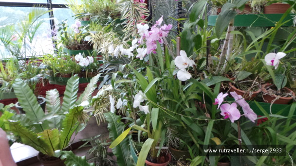 photo 575387