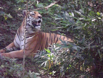 photo 437433