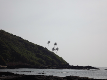 photo 438493