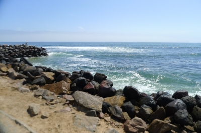 photo 899338