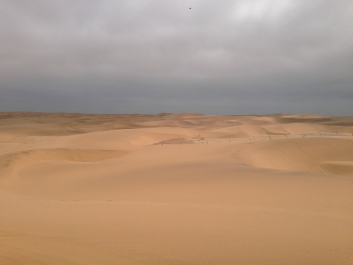 photo 899359