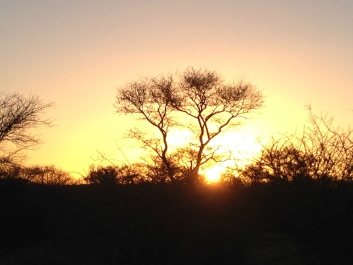 photo 899360