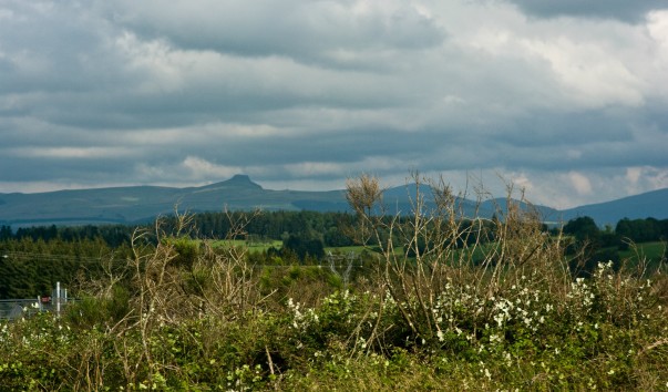 IMGP7168