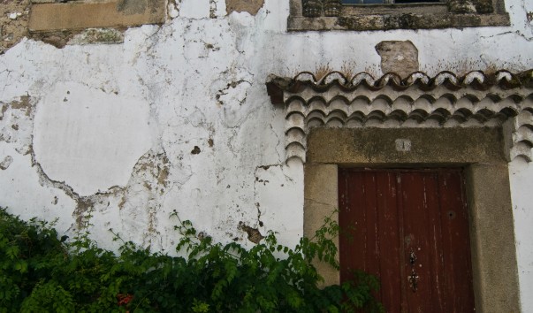 IMGP6986