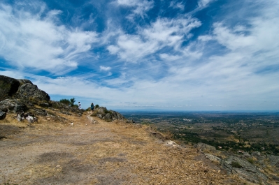 photo 893774