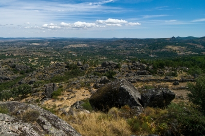 photo 893775