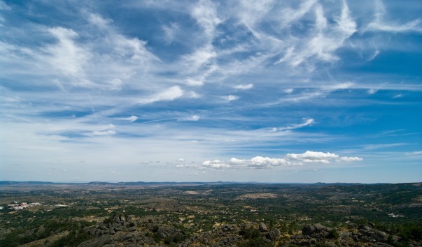 IMGP6963