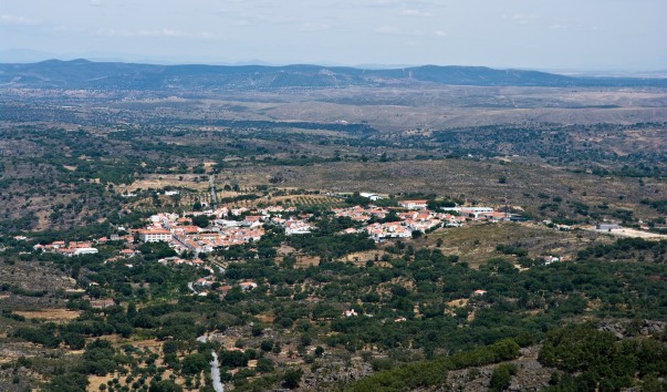 IMGP6961