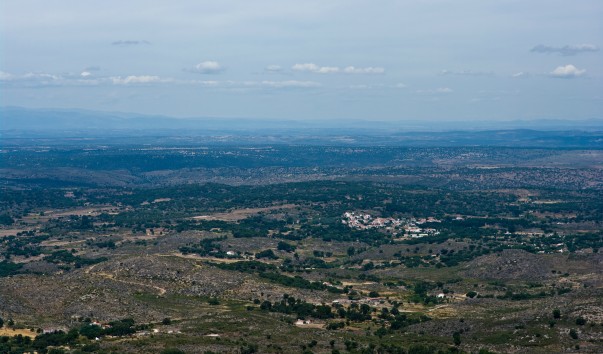 IMGP6955