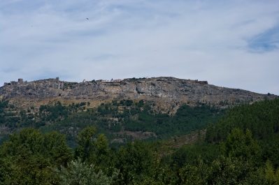 photo 893781