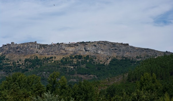IMGP6954