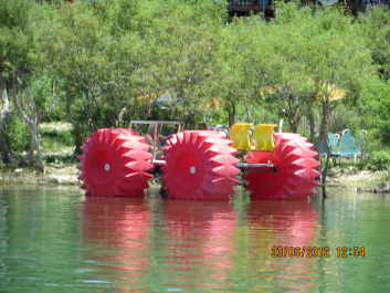 photo 229936