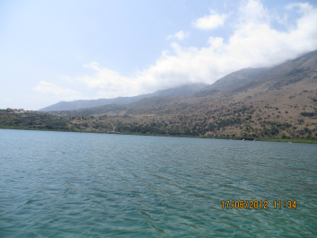 photo 229944