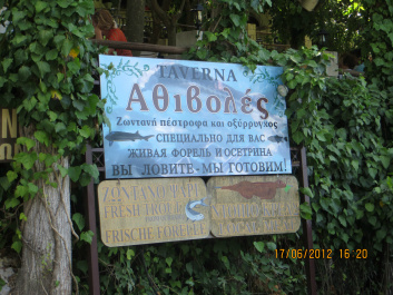 photo 230016