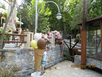 photo 230017