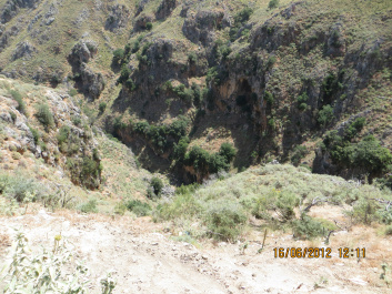 photo 231086