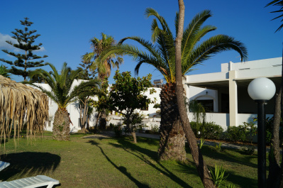 photo 482268