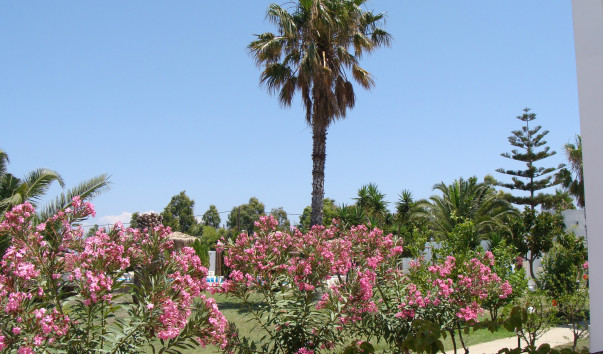 Summer Village Kos