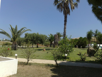 photo 482290