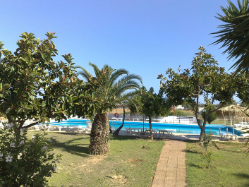 photo 482291