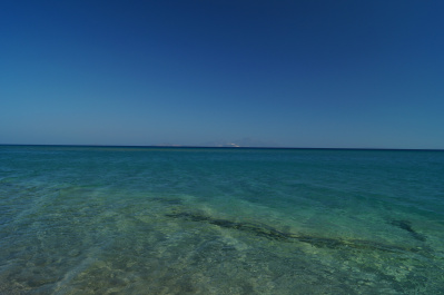 photo 483251