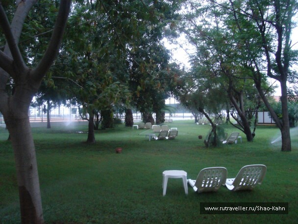 photo 15642