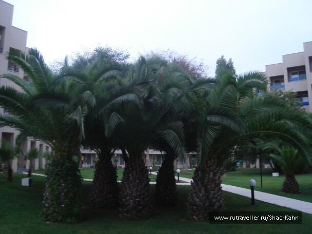 photo 15643