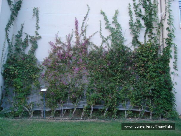 photo 15662