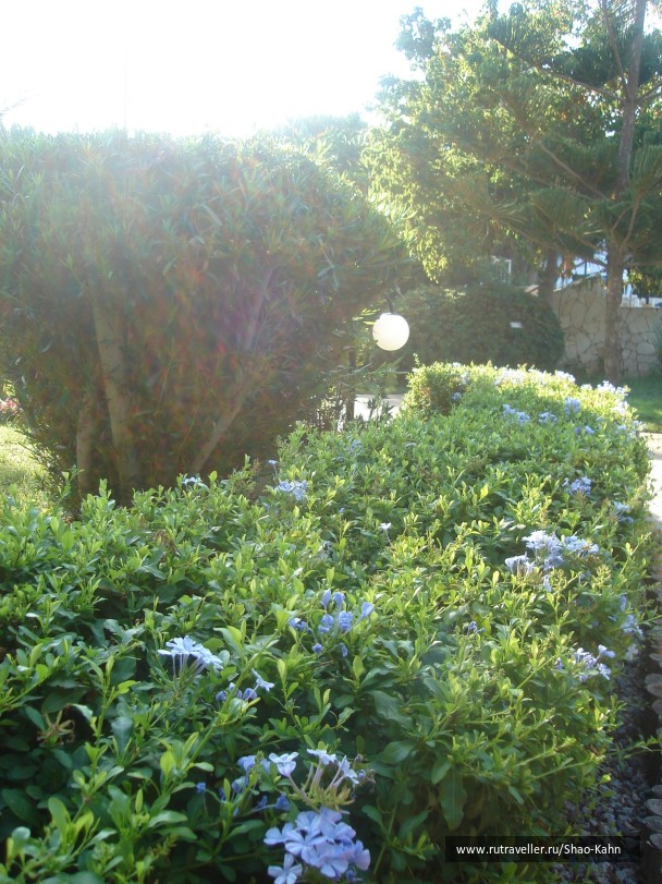 photo 15678