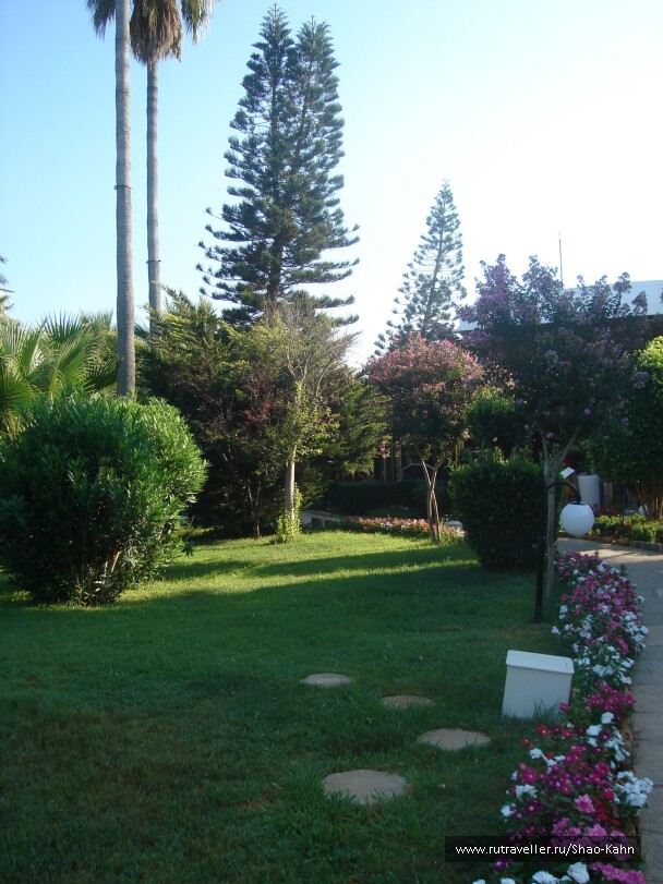 photo 15679