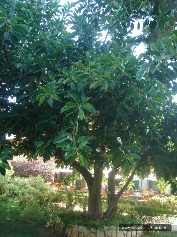 photo 15683