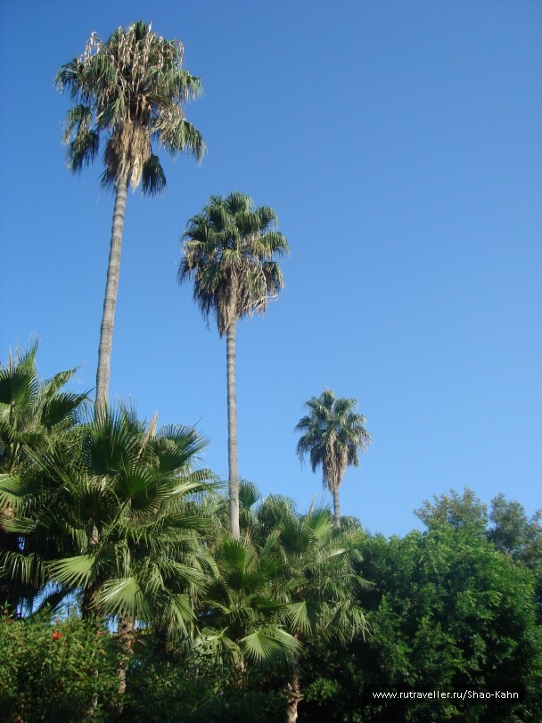photo 15684