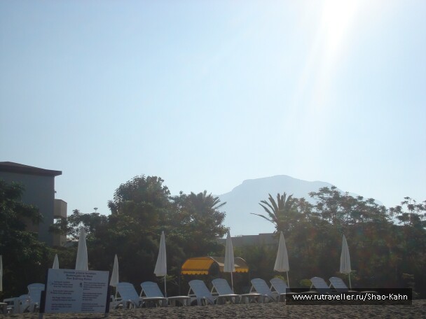 photo 15693