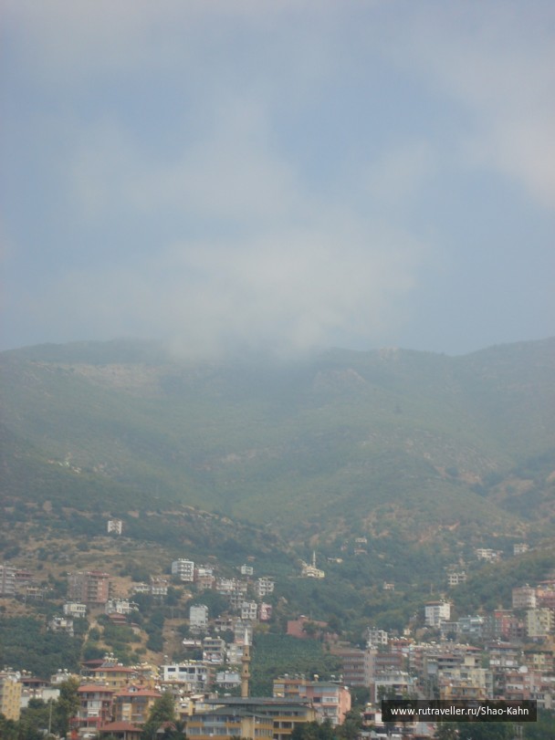 photo 15778