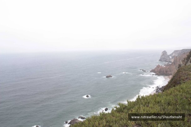 photo 494189