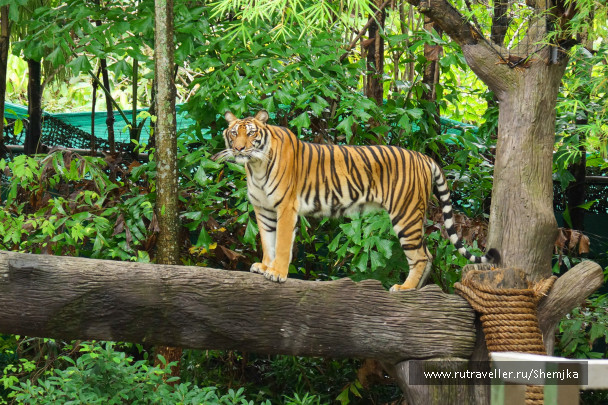 photo 276463