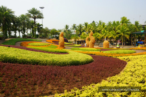 photo 276471