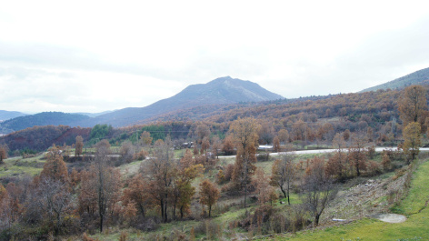 photo 219079