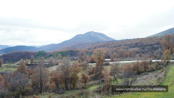photo 219079