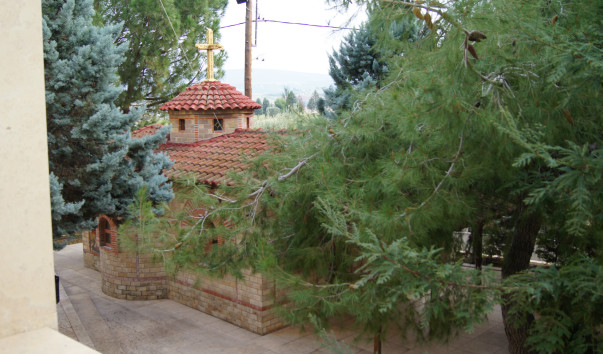 DSC07224