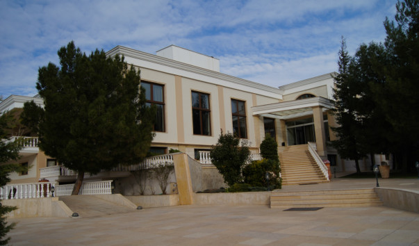 DSC07218