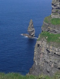 photo 1134595