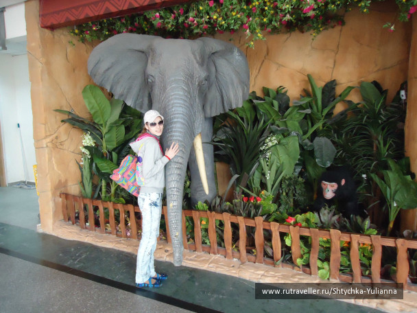 photo 456091