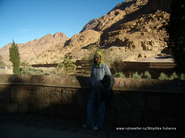 photo 456064