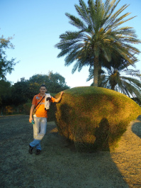 photo 456133