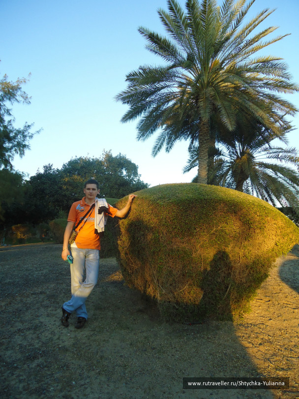 photo 456133