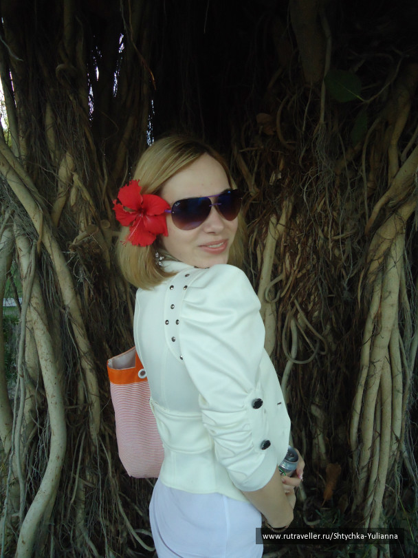 photo 456253